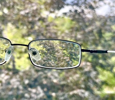 Close-up through the lens of a pair of glasses, with an out-of-focus tree and sky visible sharply only within the lens, blurred everywhere else.